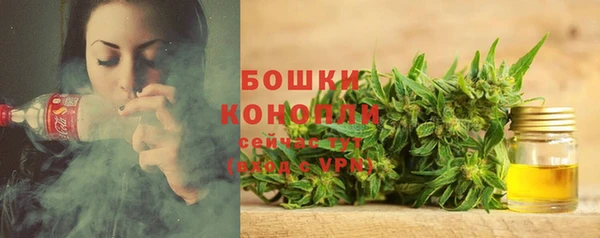 mix Саяногорск