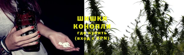 шишки Балабаново