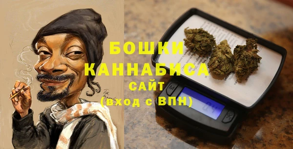 Альфа ПВП Белокуриха
