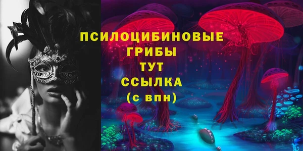 шишки Балабаново