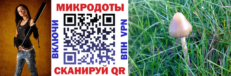Псилоцибиновые грибы MAGIC MUSHROOMS  хочу наркоту  дарк нет Telegram  Верхняя Пышма 