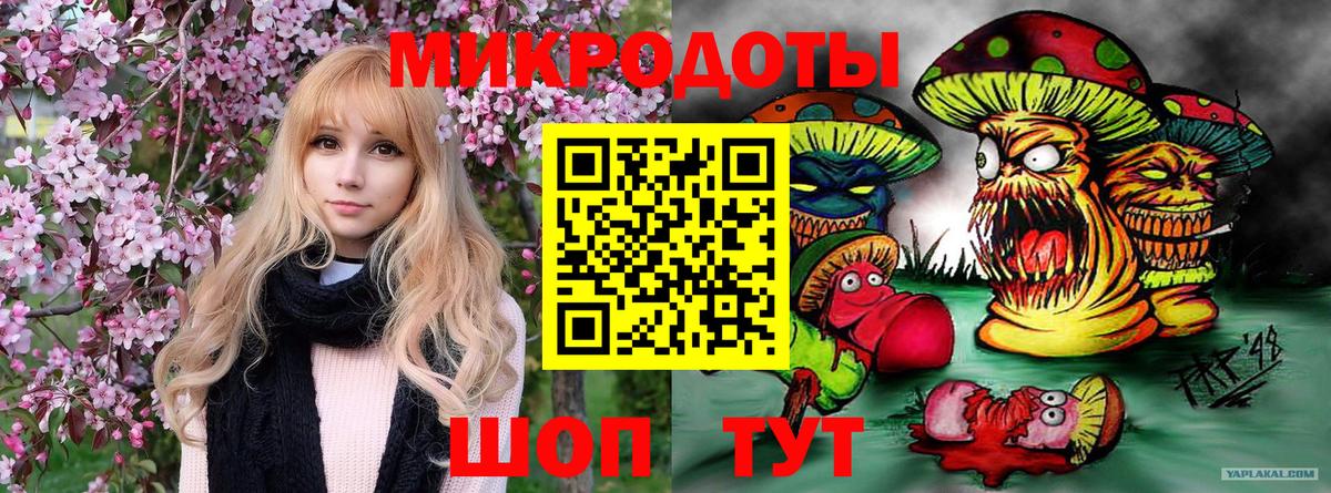 Псилоцибиновые грибы GOLDEN TEACHER  купить  цена  Верхняя Пышма 