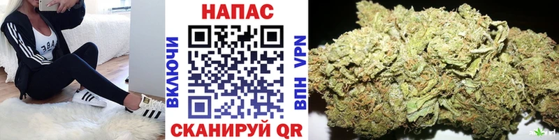дарнет шоп  Верхняя Пышма  Конопля Bruce Banner 